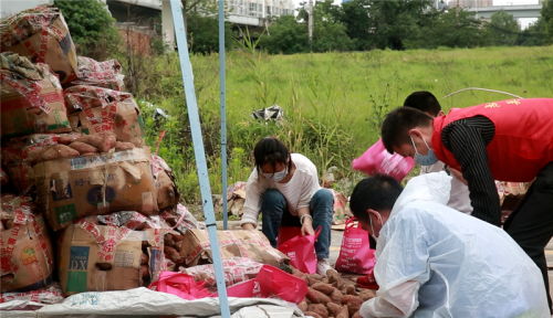 大愛接力 武漢志愿者團助力臨沂農(nóng)副產(chǎn)品銷售，推動機械設備研發(fā)