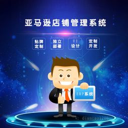 河南亞馬遜erp系統貼牌代理定制開發哪家便宜